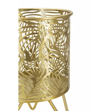 P/VASI NATY Para cm 16x20-13x20 MIN 2